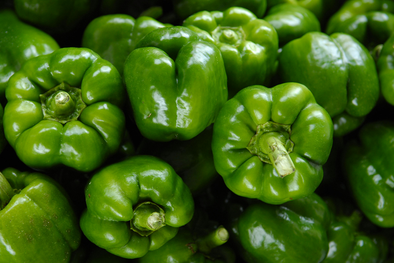 Starke Ayres discuss planting green peppers 