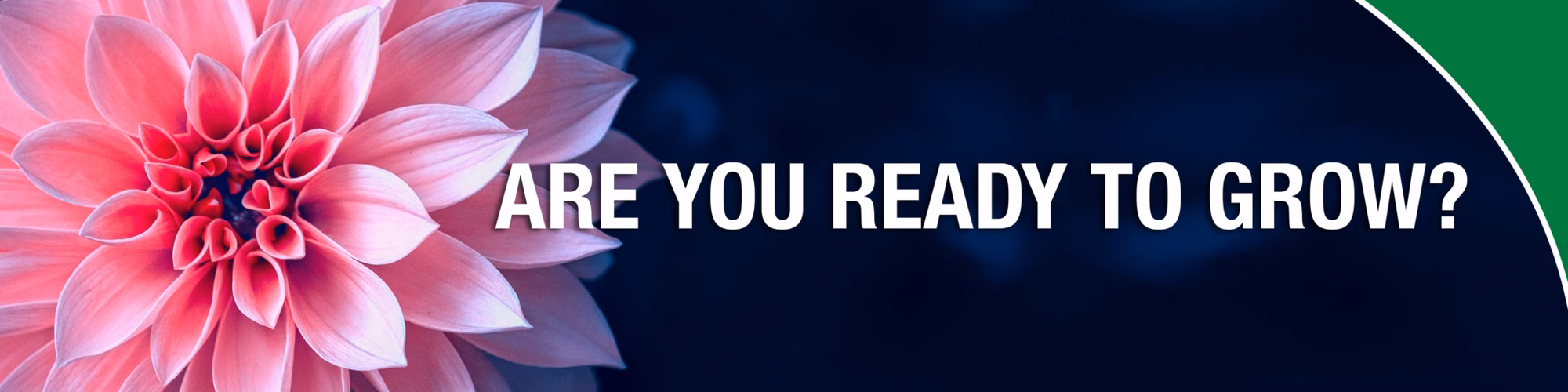 Are you ready to grow Are you ready to grow