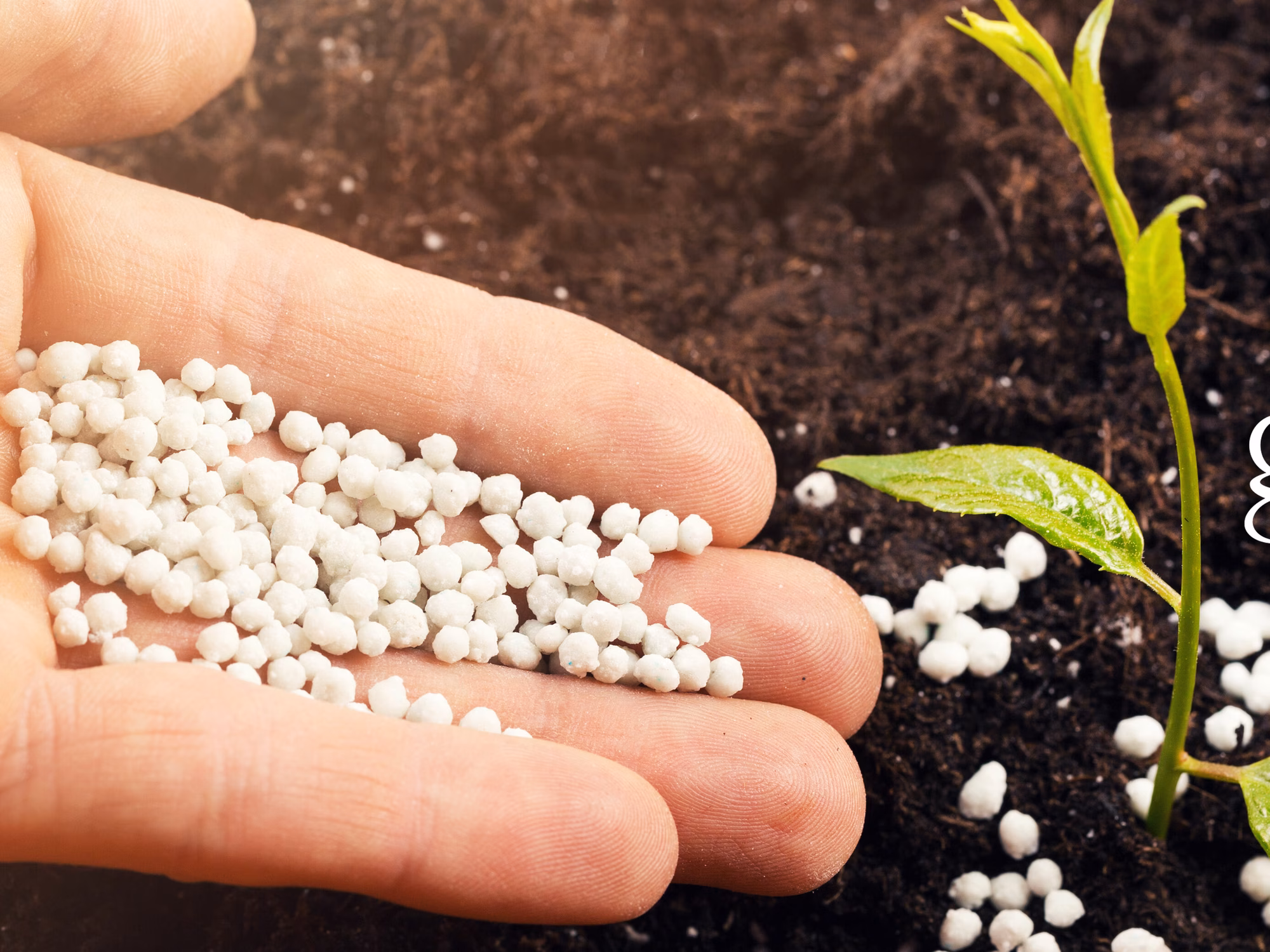 Fertilisers Fertilisers