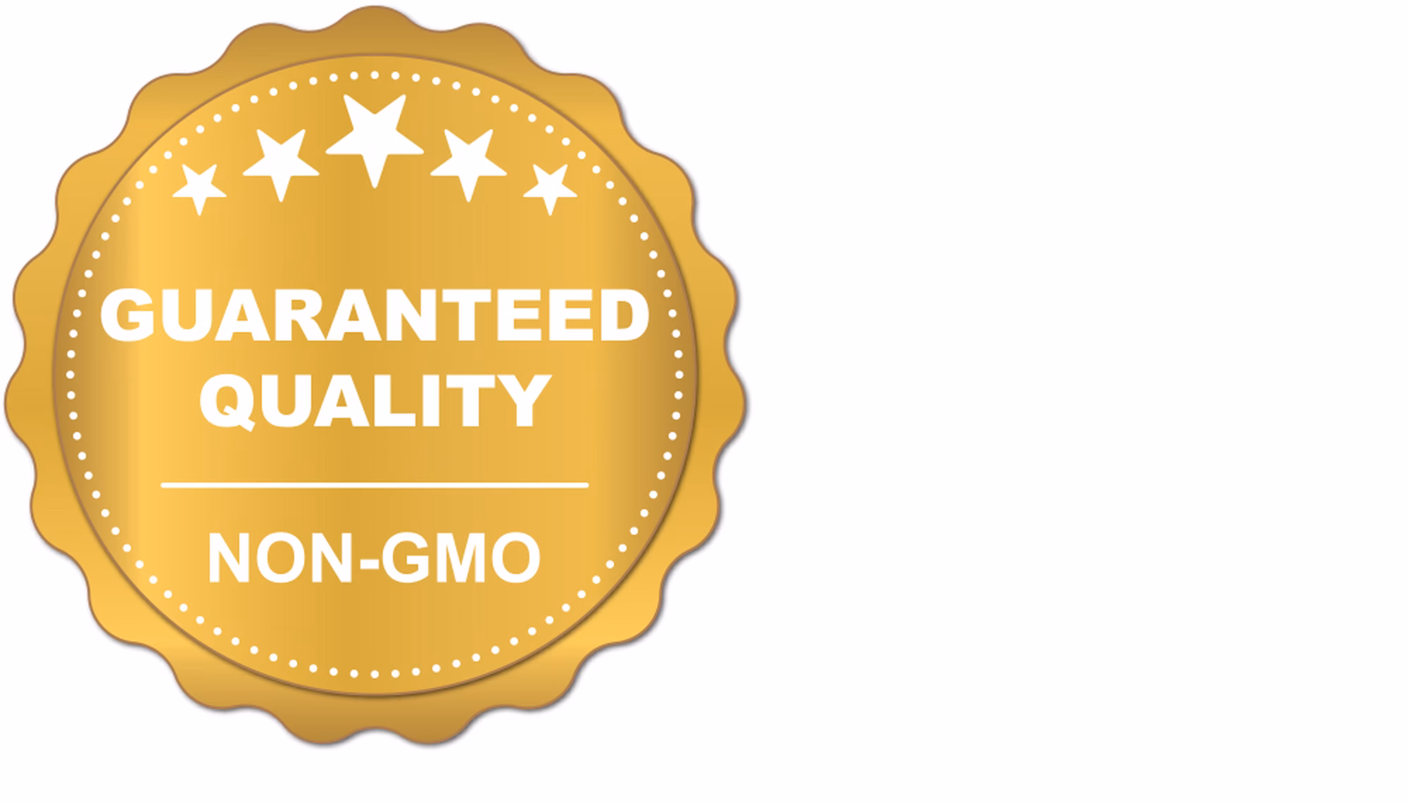 GMO Declaration1 GMO Declaration1