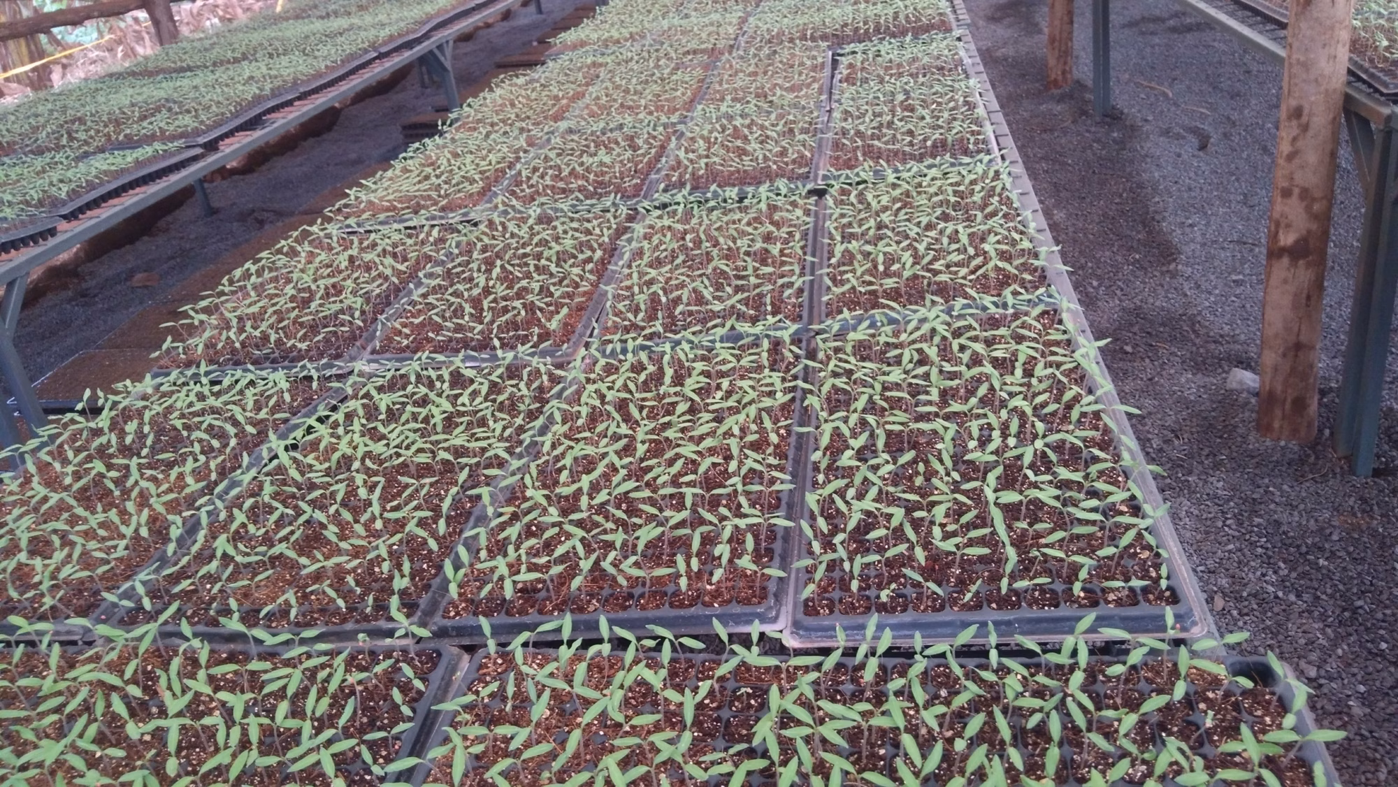 IMG 20200819 141325 IMG 20200819 141325