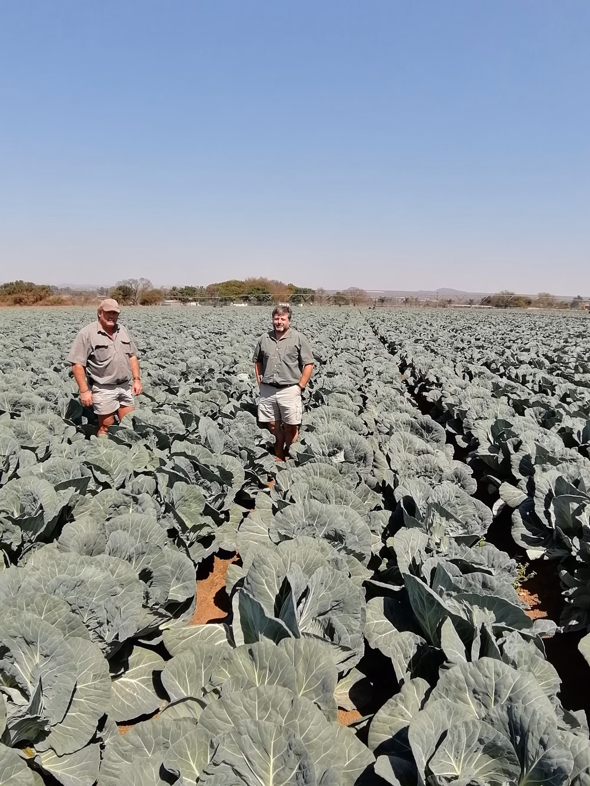 IMG 20200909 110203 resized 20201016 041249767 IMG 20200909 110203 resized 20201016 041249767