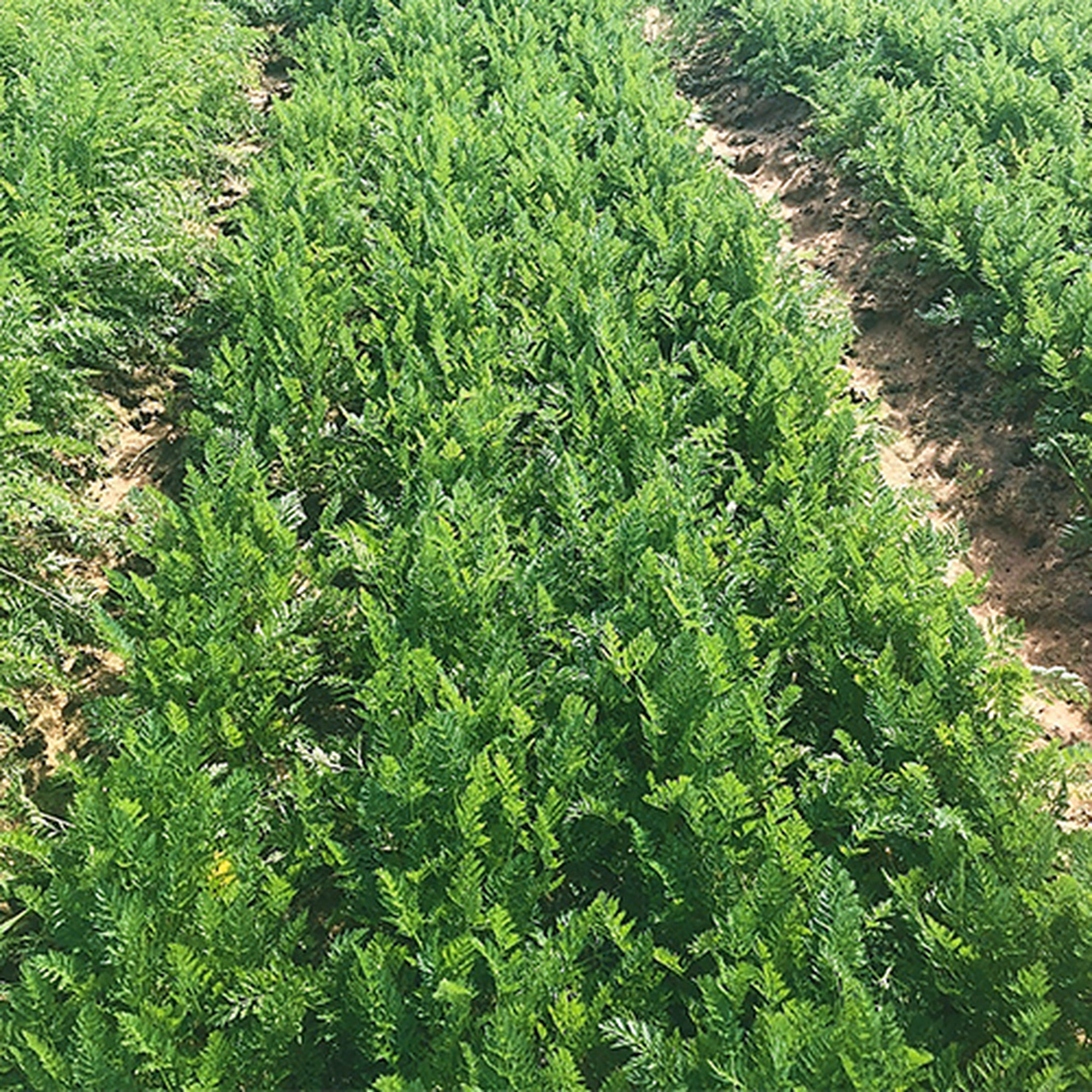 Untitled 1 Untitled 1