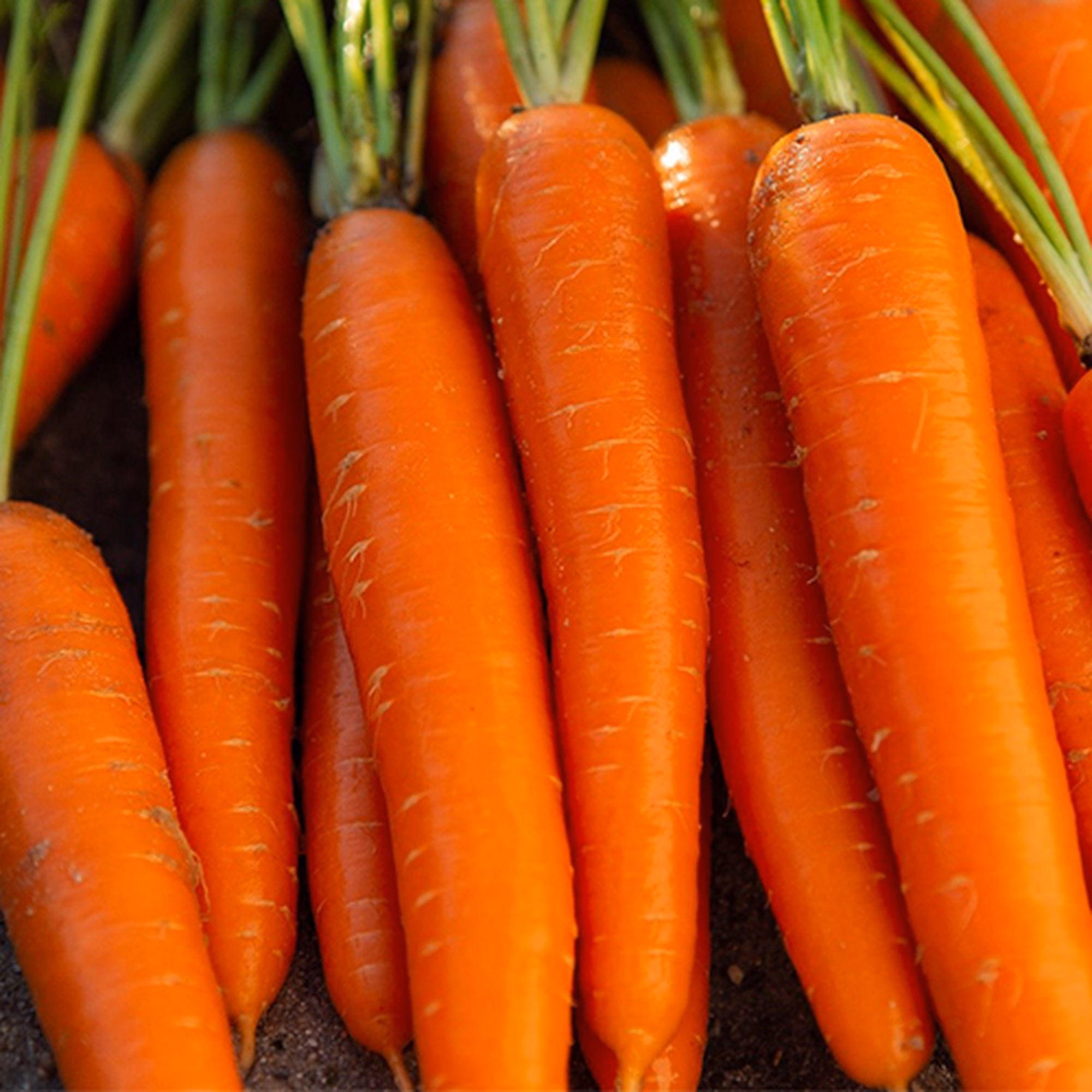 Untitled 2 Untitled 2