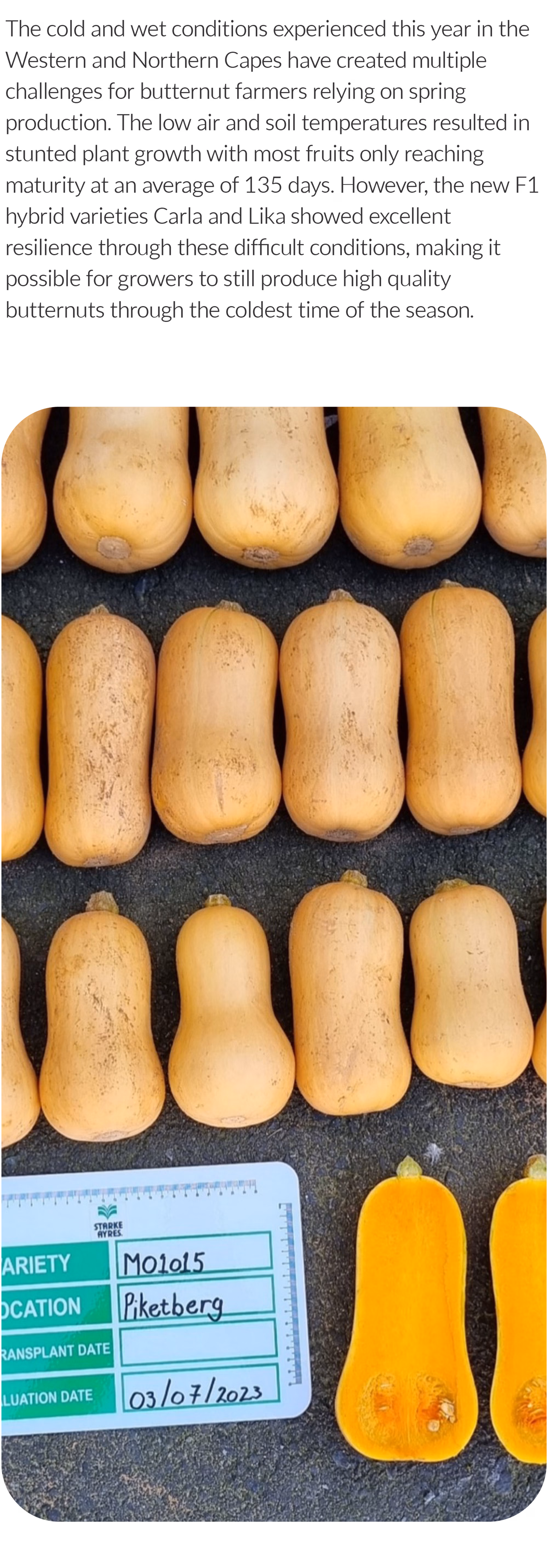 Web post 01 Web post 01