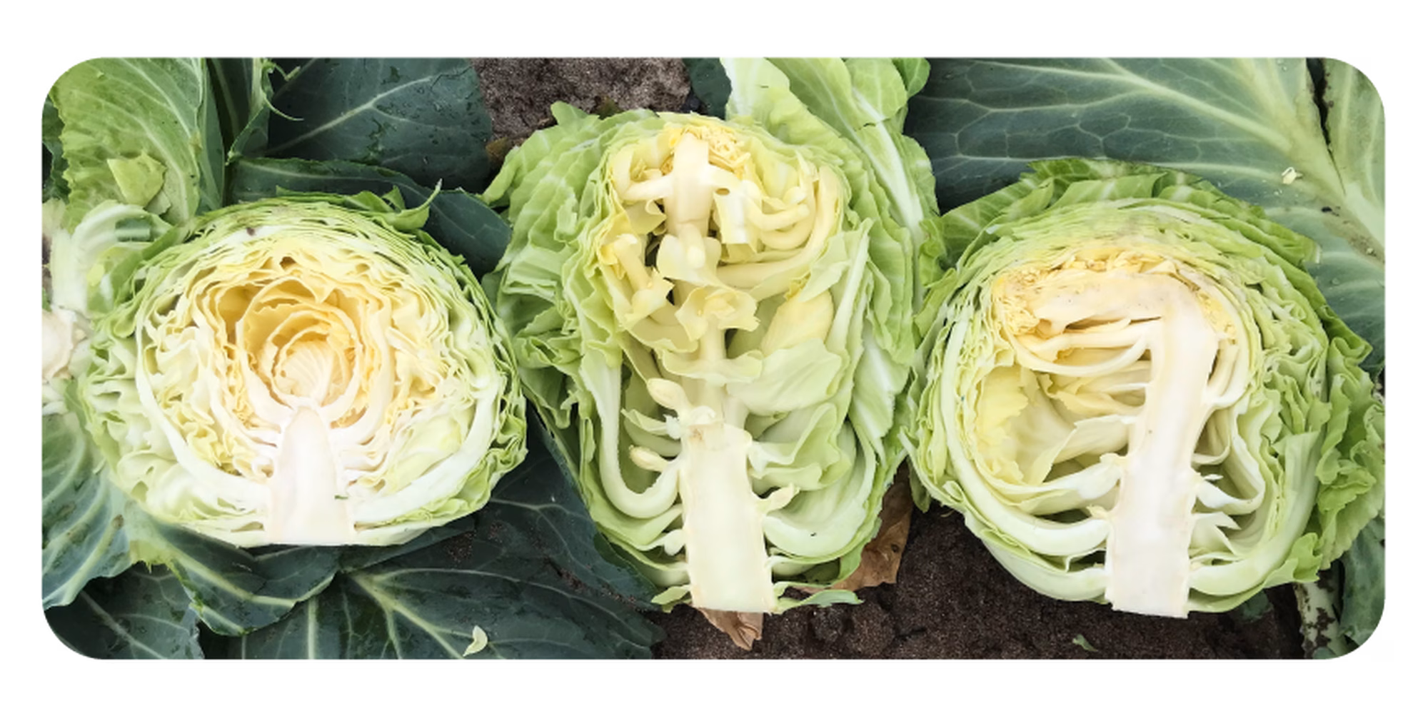 Web post 01 Web post 01