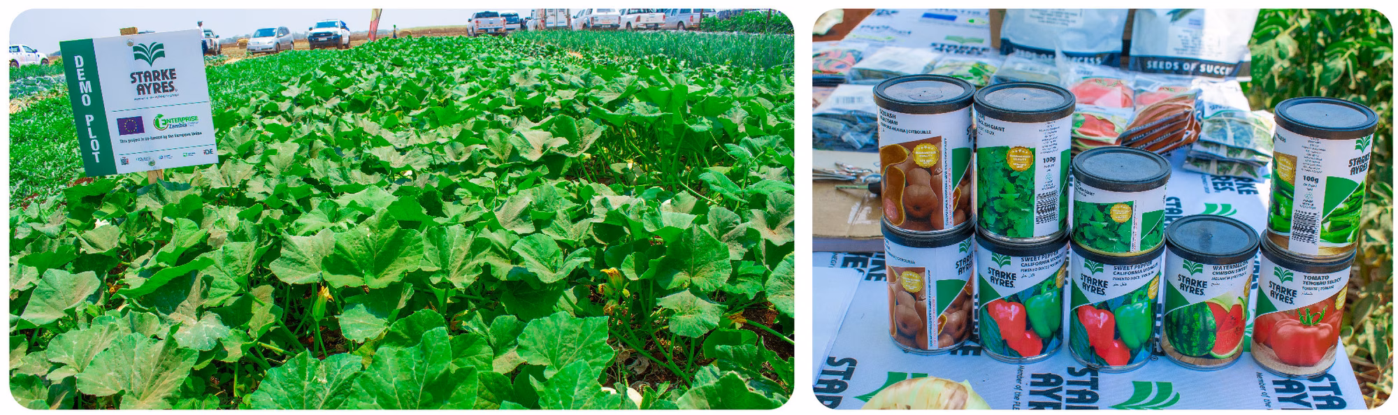 Web post 01 Web post 01