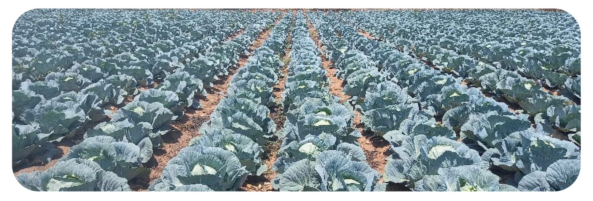 Web post 02 Web post 02