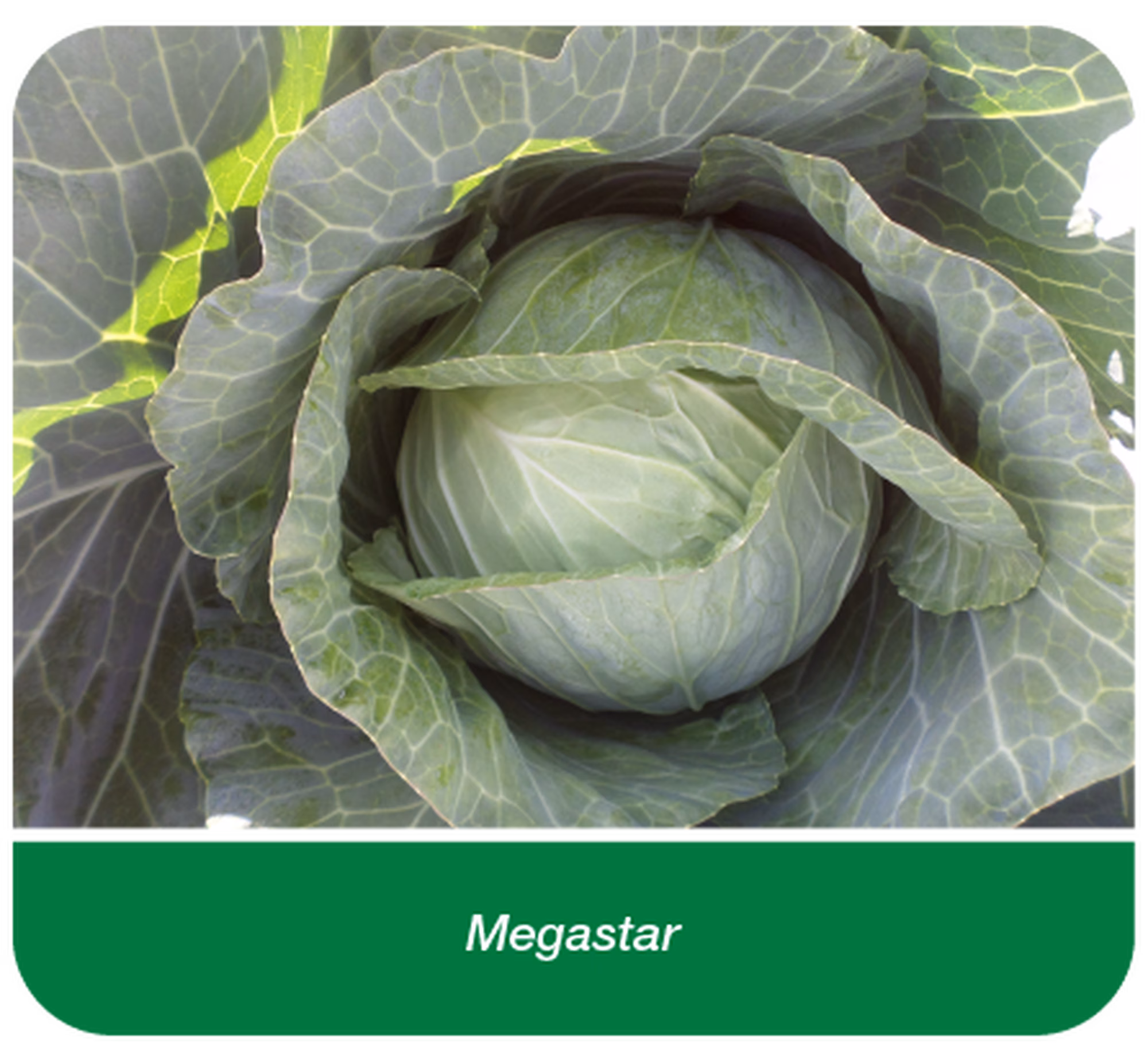 Web post 03 Web post 03