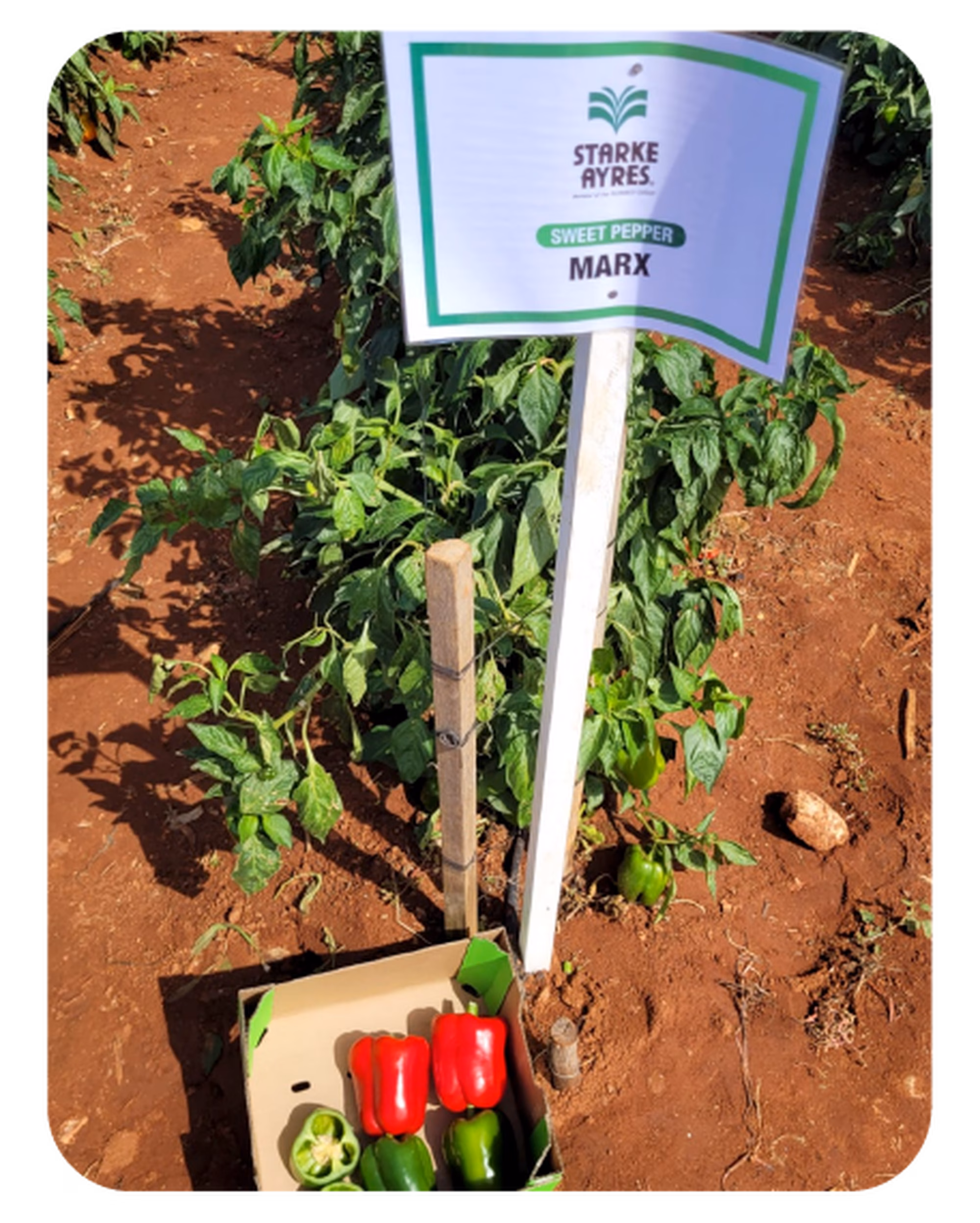 Web post 03 Web post 03