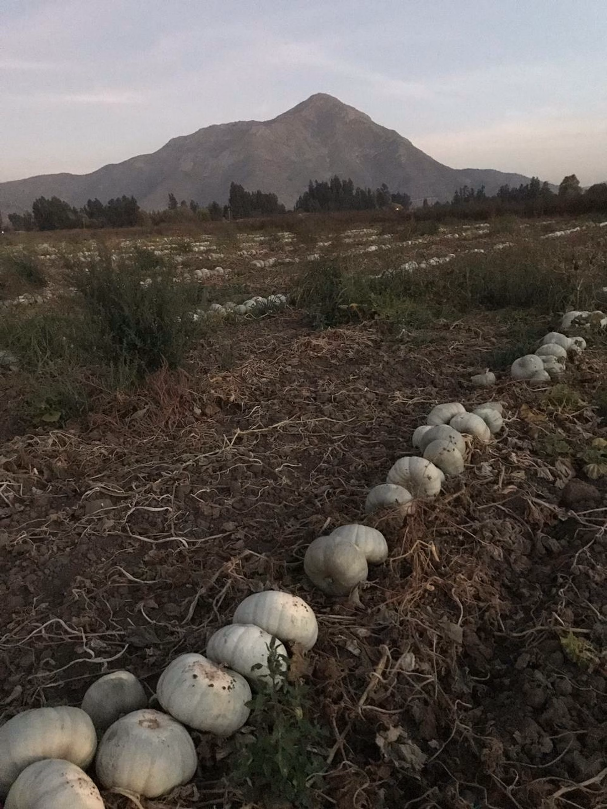 Whats App Image 2019 04 30 at 20 37 04 Whats App Image 2019 04 30 at 20 37 04