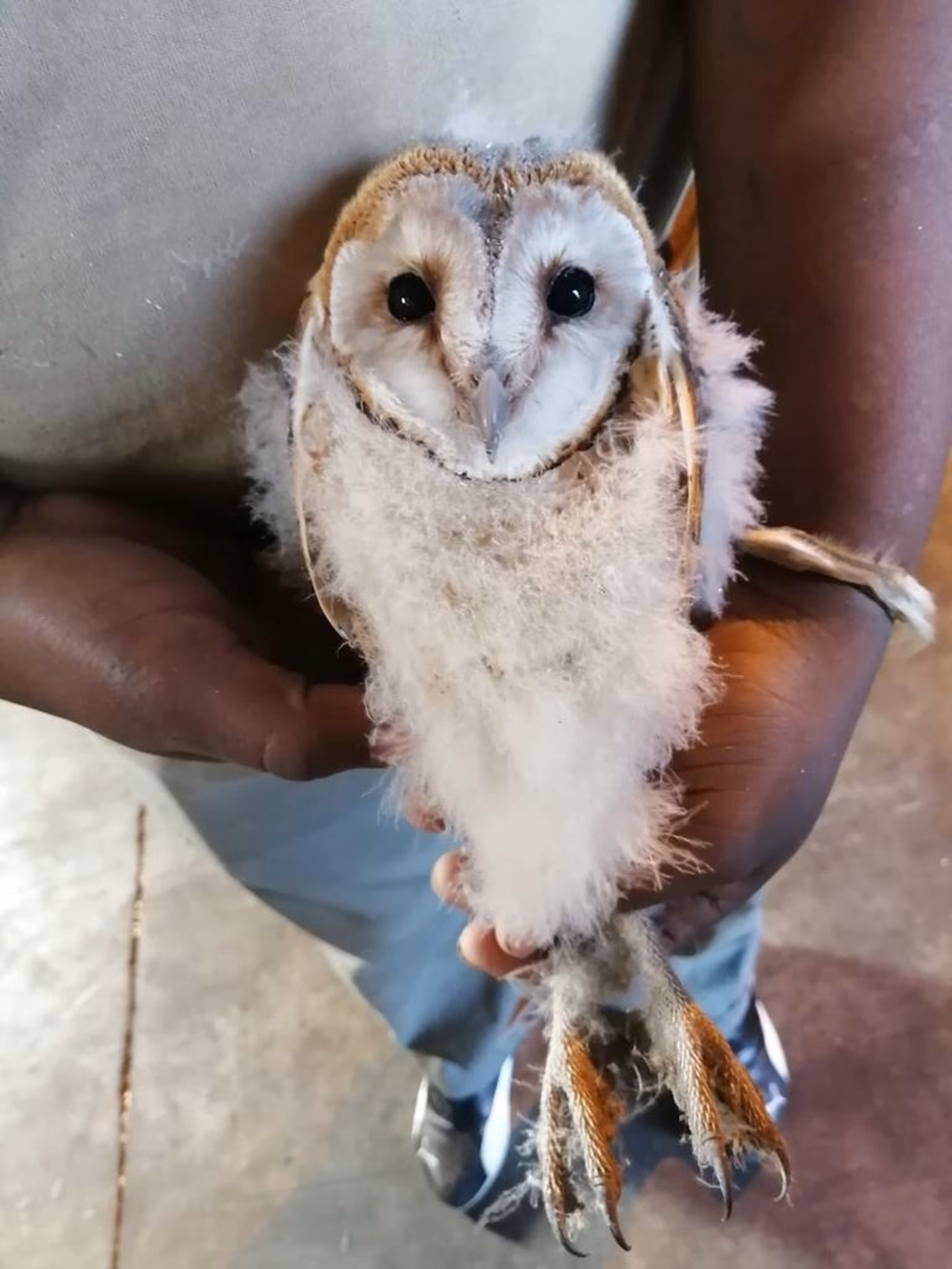 Whats App Image 2020 06 24 at 09 05 45 10 Whats App Image 2020 06 24 at 09 05 45 10