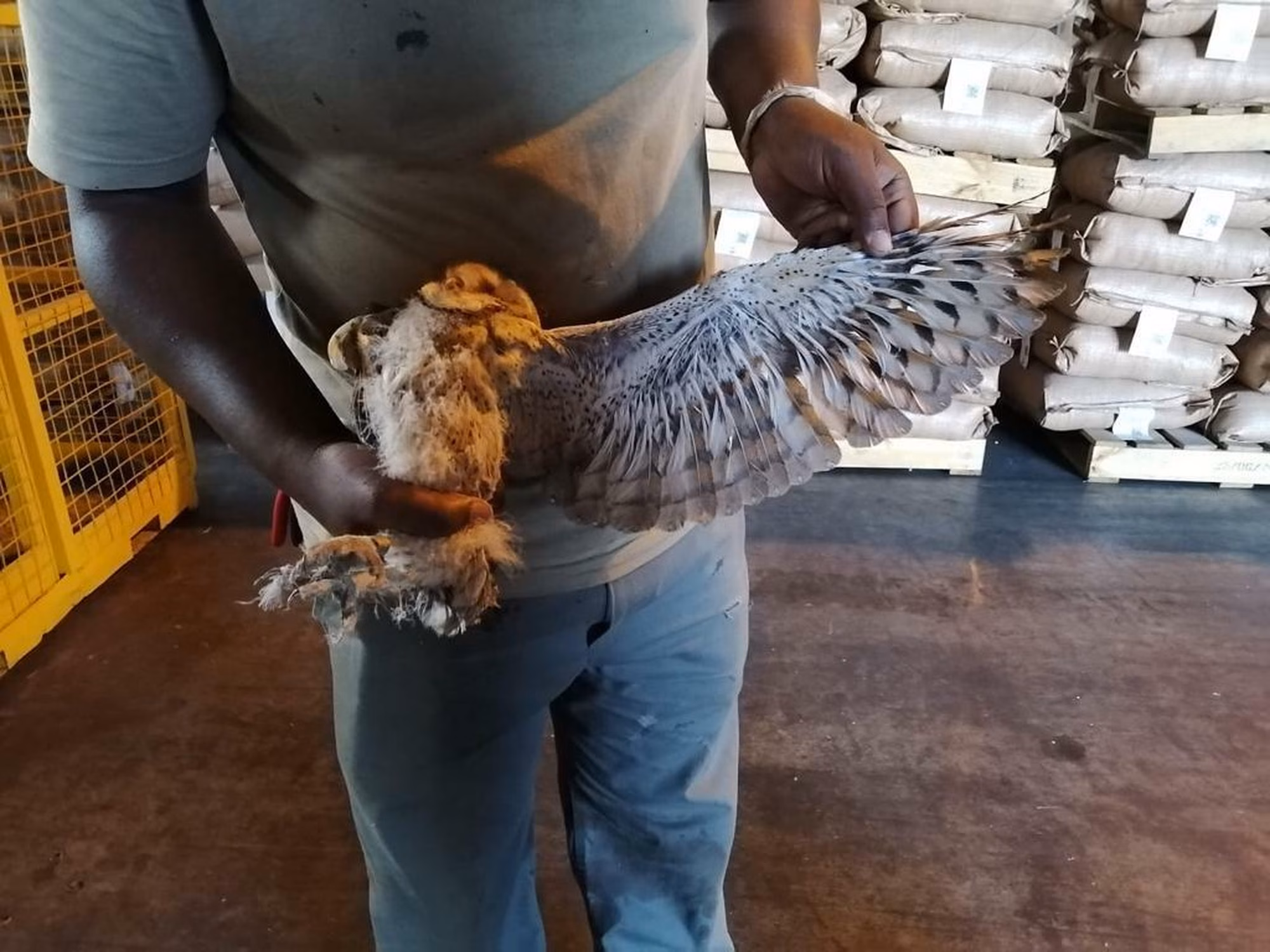 Whats App Image 2020 06 24 at 09 05 45 4 Whats App Image 2020 06 24 at 09 05 45 4