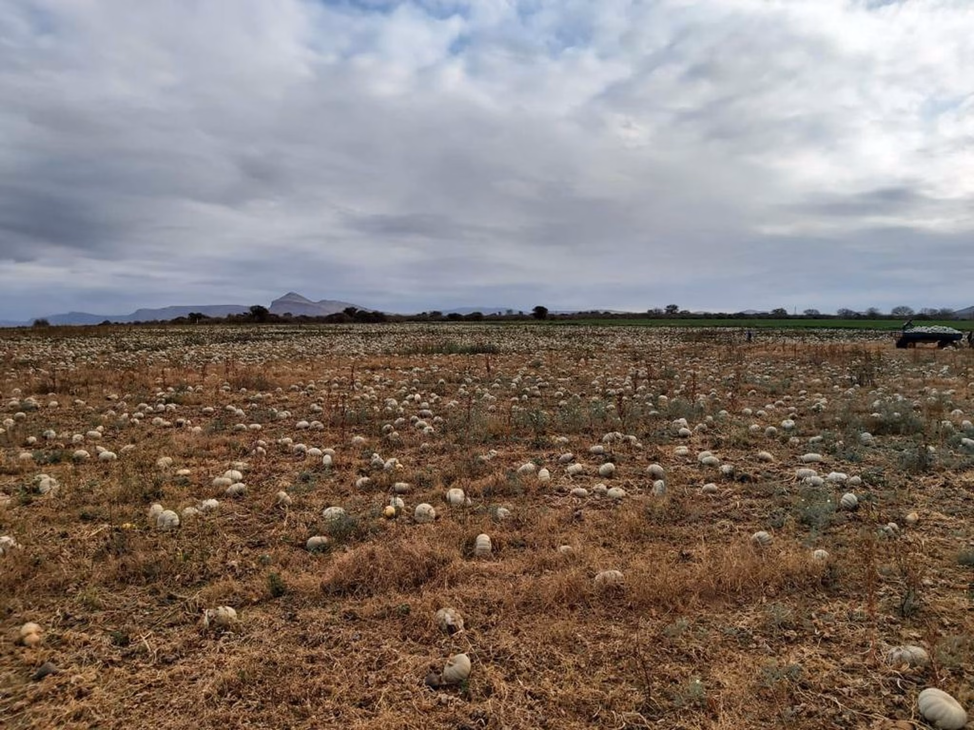 Whats App Image 2020 10 29 at 08 34 02 1 Whats App Image 2020 10 29 at 08 34 02 1