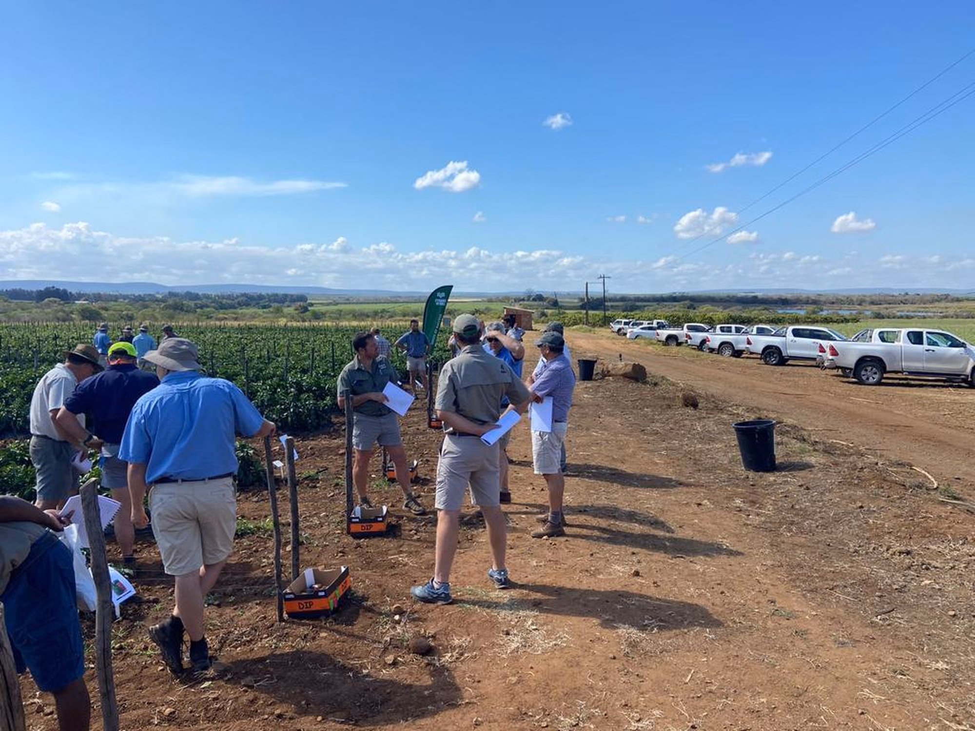 Whats App Image 2022 11 14 at 15 23 28 Whats App Image 2022 11 14 at 15 23 28