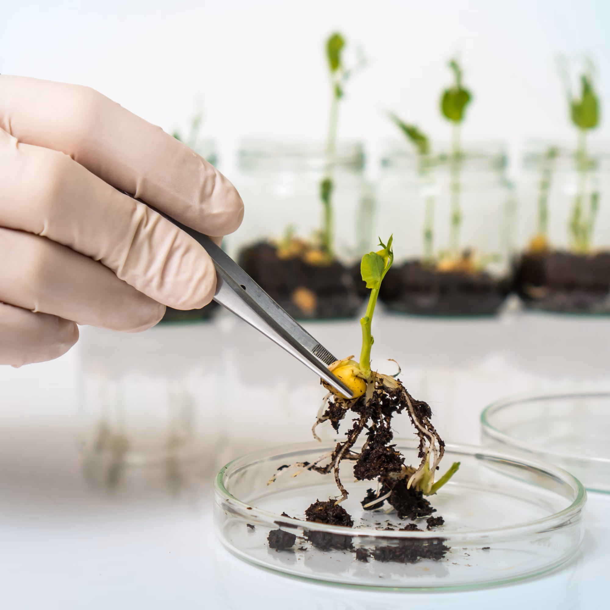 Shutterstock 1012198210 Shutterstock 1012198210