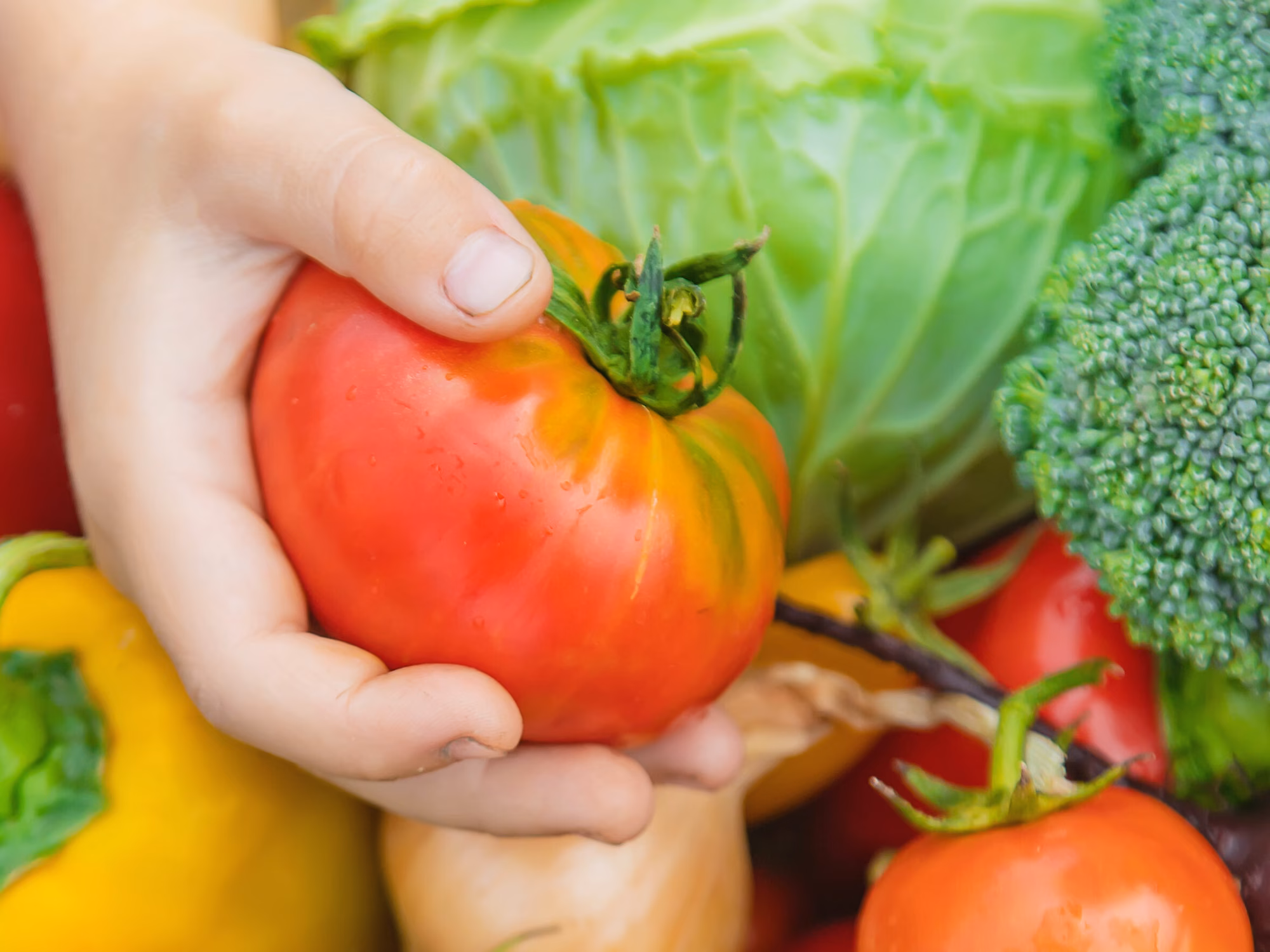 Vegetables new Vegetables new